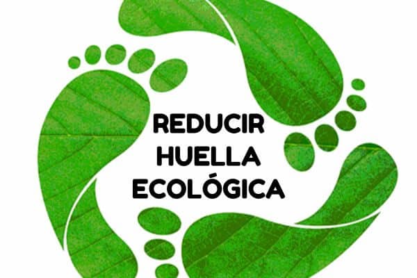 5 consejos para reducir tu huella ecológica este verano