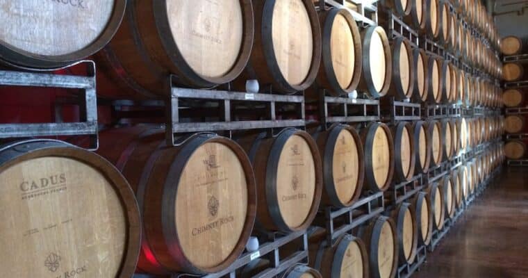 Top 3 bodegas para hacer enoturismo
