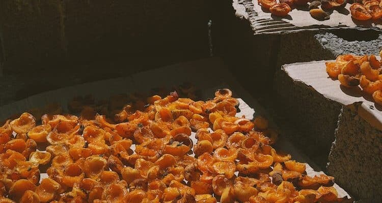 Deshidratación de alimentos: métodos y usos