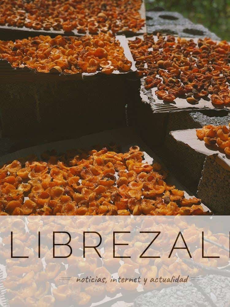 Deshidratación de alimentos: métodos y usos