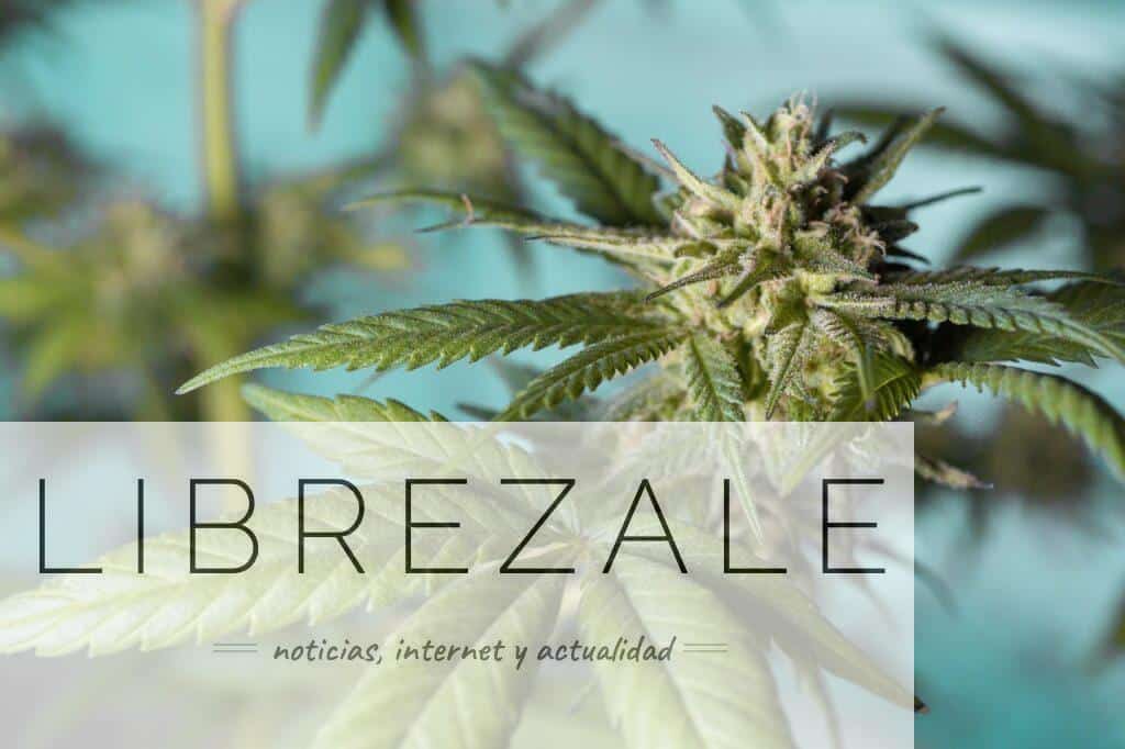 top mejores Growshops para comprar semillas de marihuana