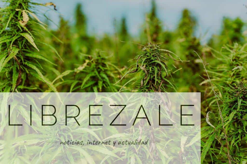 Growshops para comprar semillas de marihuana