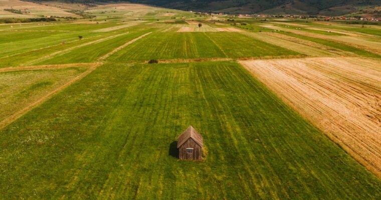 Terrenos en venta en España para proyectos agrícolas